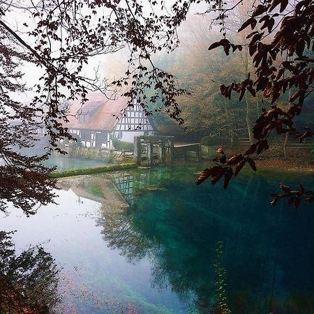 Ferienwohnung Reimann Mit Kostenloser Albcard Blaubeuren Extérieur photo